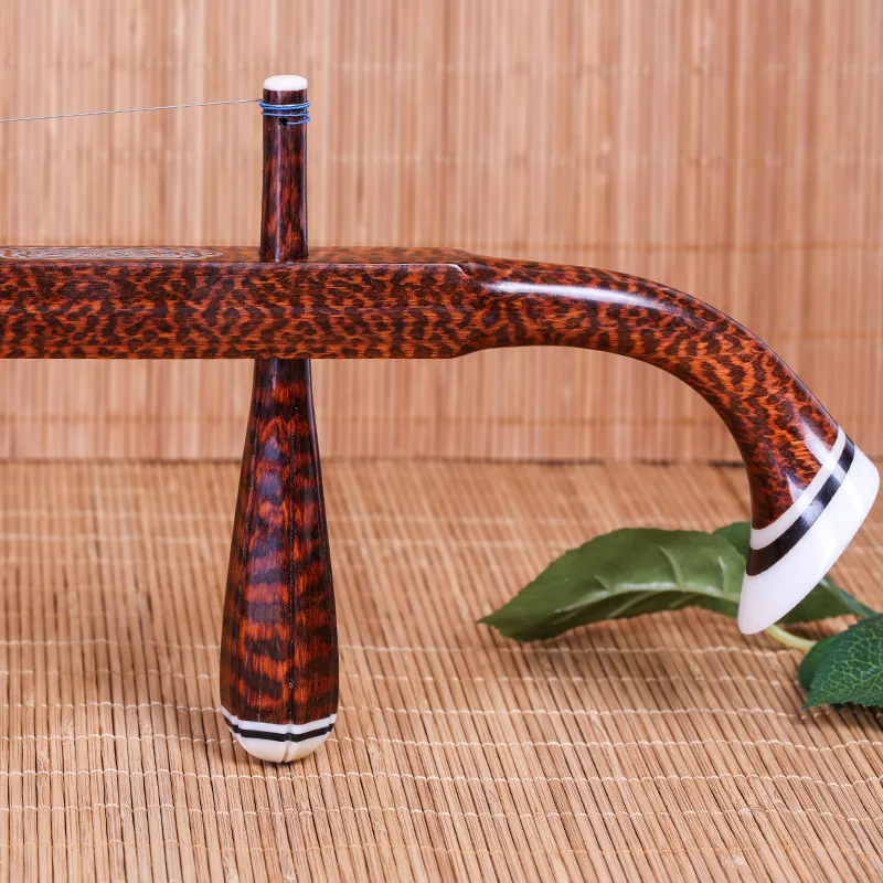 Violon chinois professionnel à - Erhu Violin Chinese avis et prix