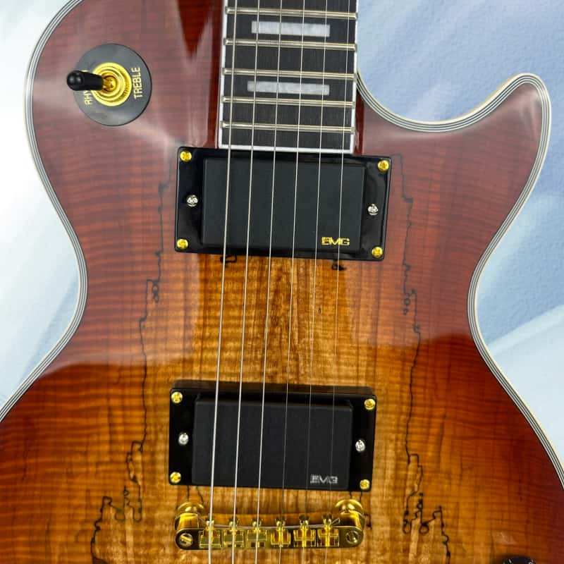 Guitare électrique de style ca - Electric Guitar Beginner avis et prix