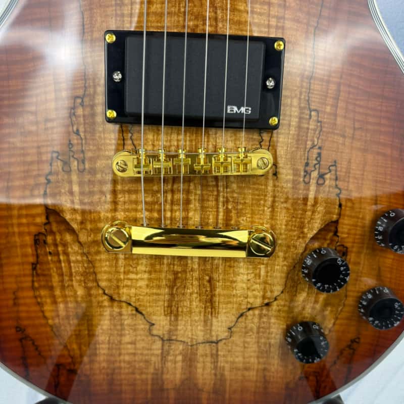 Guitare électrique de style ca - Electric Guitar Beginner avis et prix