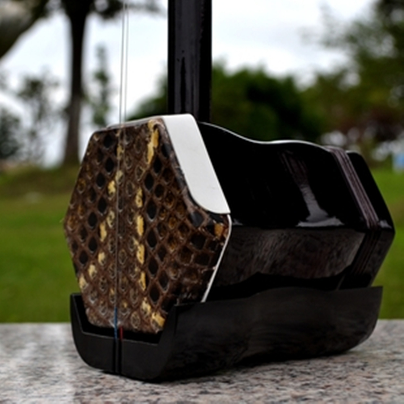 Erhu 01A1, instrument de musiq - Erhu Violin Chinese avis et prix